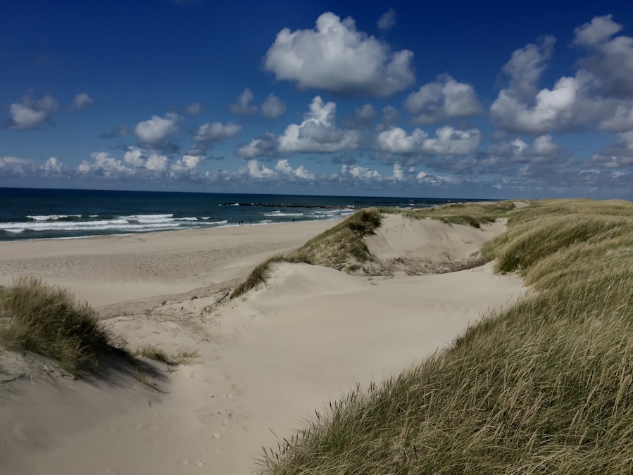 Beautifull empty beach in midsummer. NorthSea bikeroute 1