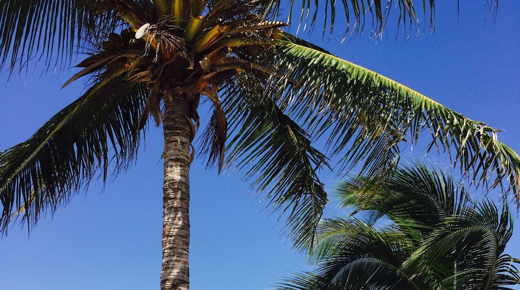 Κόστα Μουχέρες, Quintana Roo, Μεξικό