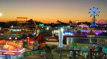 So much fried food I love the fair