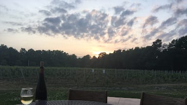 One of the many beautiful vineyards we toured in the finger lakes. At Colloca they serve one of the most amazing hand tossed, wood fired brick oven pizzas I've ever had! 