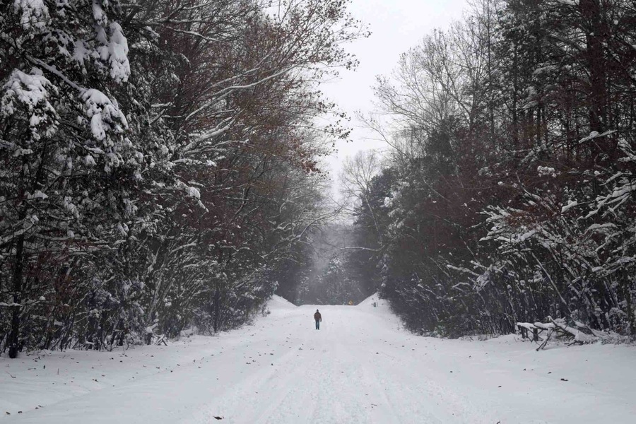 The one and only snow this winter...it was a doozy. December 2018