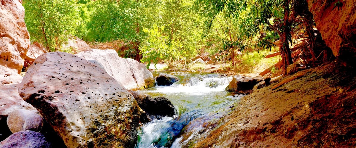 Aravaipa Creek