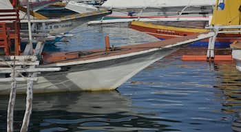 Banka Boats ready for the day at Coron harbor, Palawan, Philippines