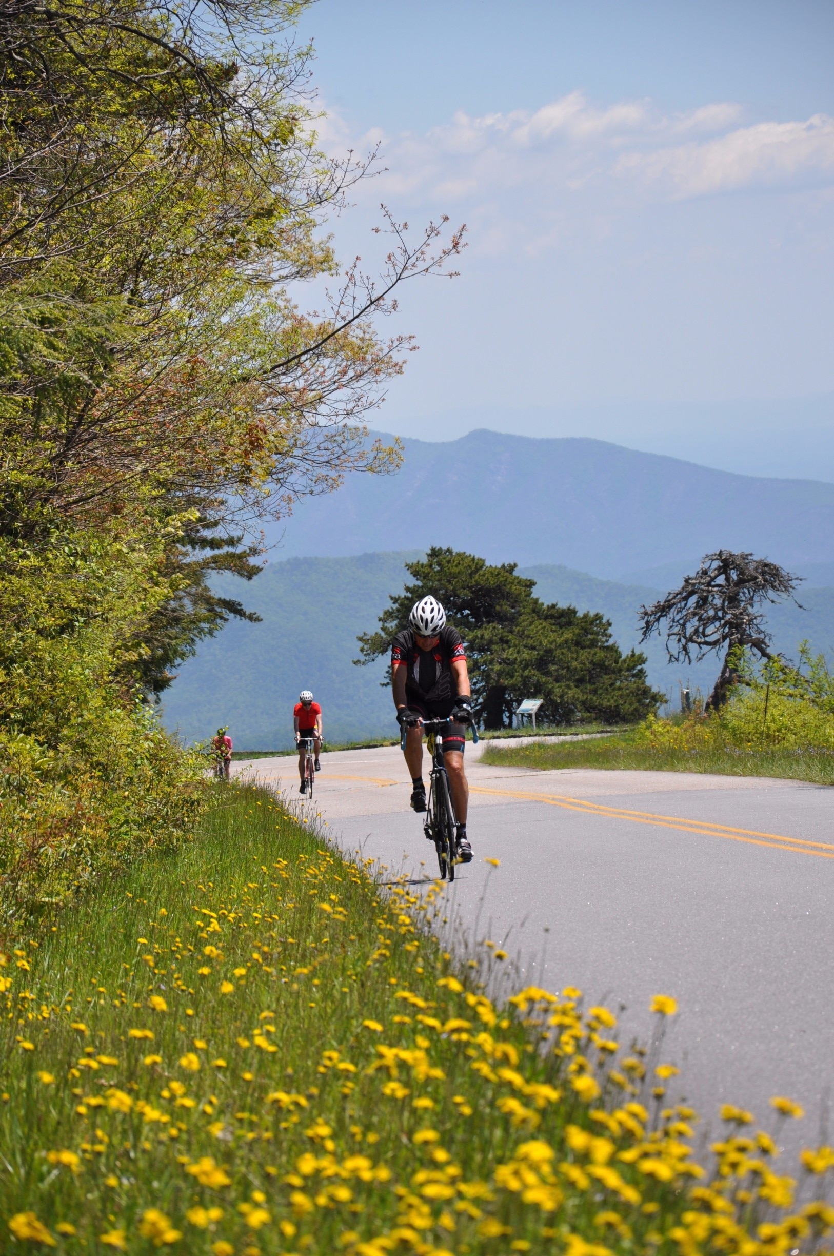 Visit Old Fort 2022 Travel Guide for Old Fort, North Carolina Expedia