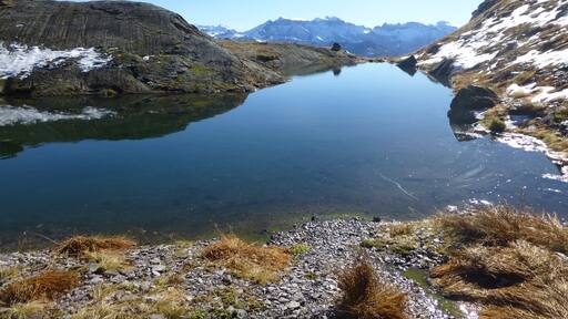 Foto oleh Curdin Brugger Gonzalez