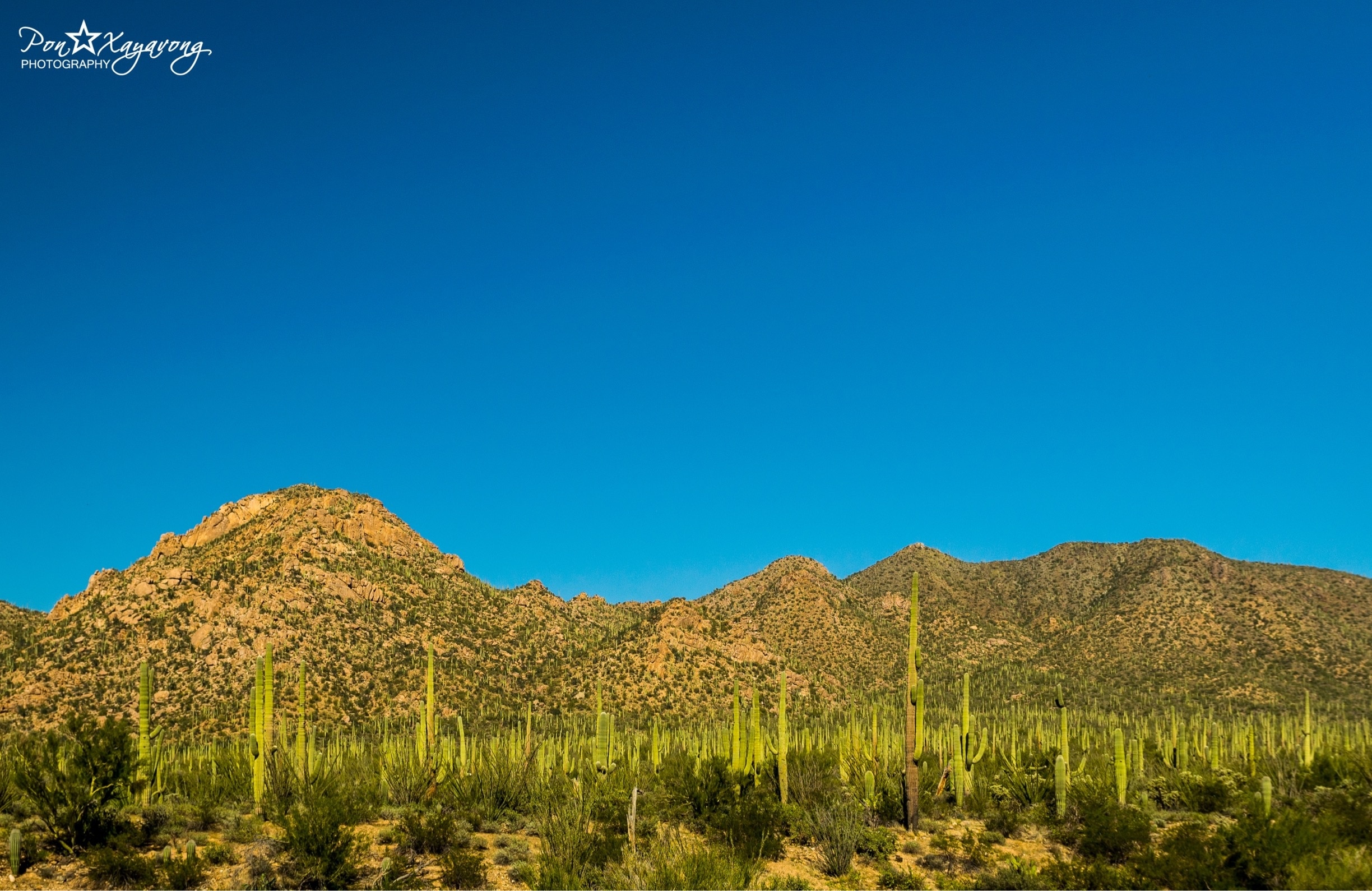 Red Hills Visitor Center holiday rentals, AZ, USA holiday houses & more Vrbo