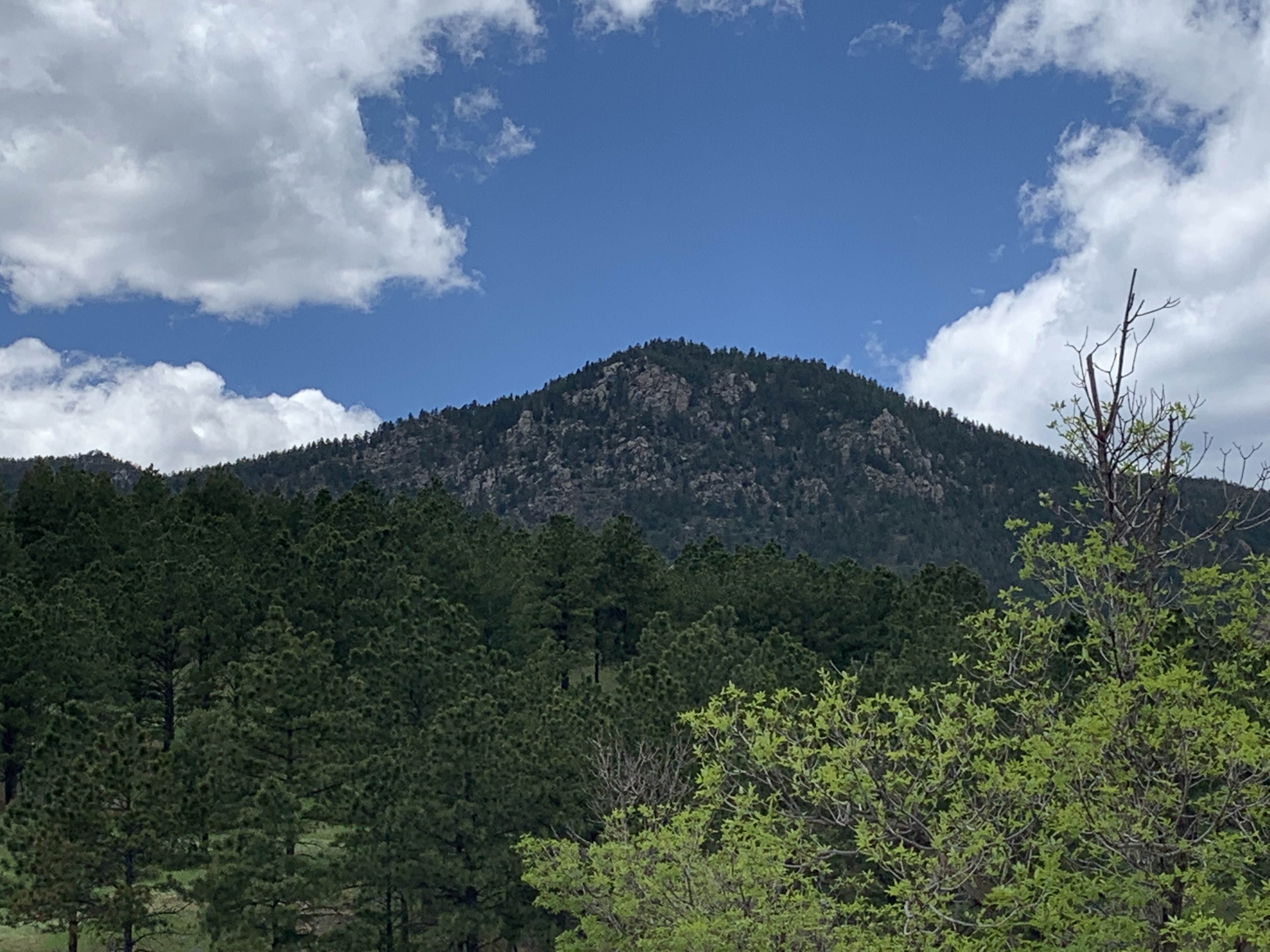 hotels in colorado springs near air force academy