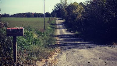 Farm days