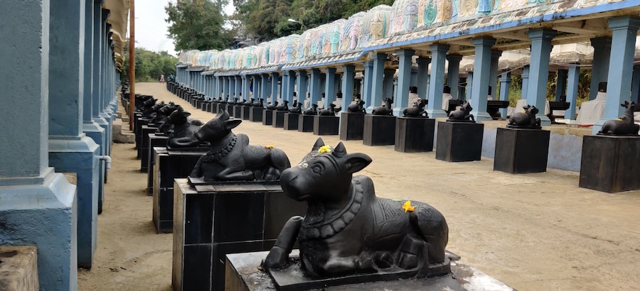 Amazing place. You can actually drive through the temples.