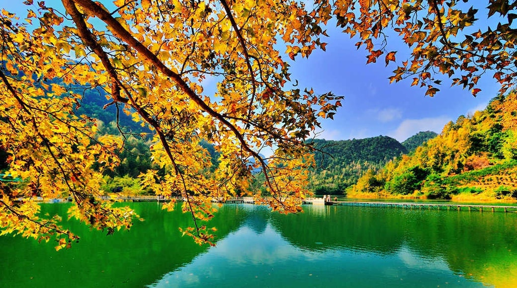 Photo by Beautiful Guangxi