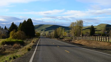 This is SR 10 between Ellensburg and Cle Elum Washington.  It is old US 10 that was the predecessor to I-90 through this area.  Up on teh hill ahead is the Kittitas Valley Wind Farm.
#washingtonstate #history #travel #pnw
