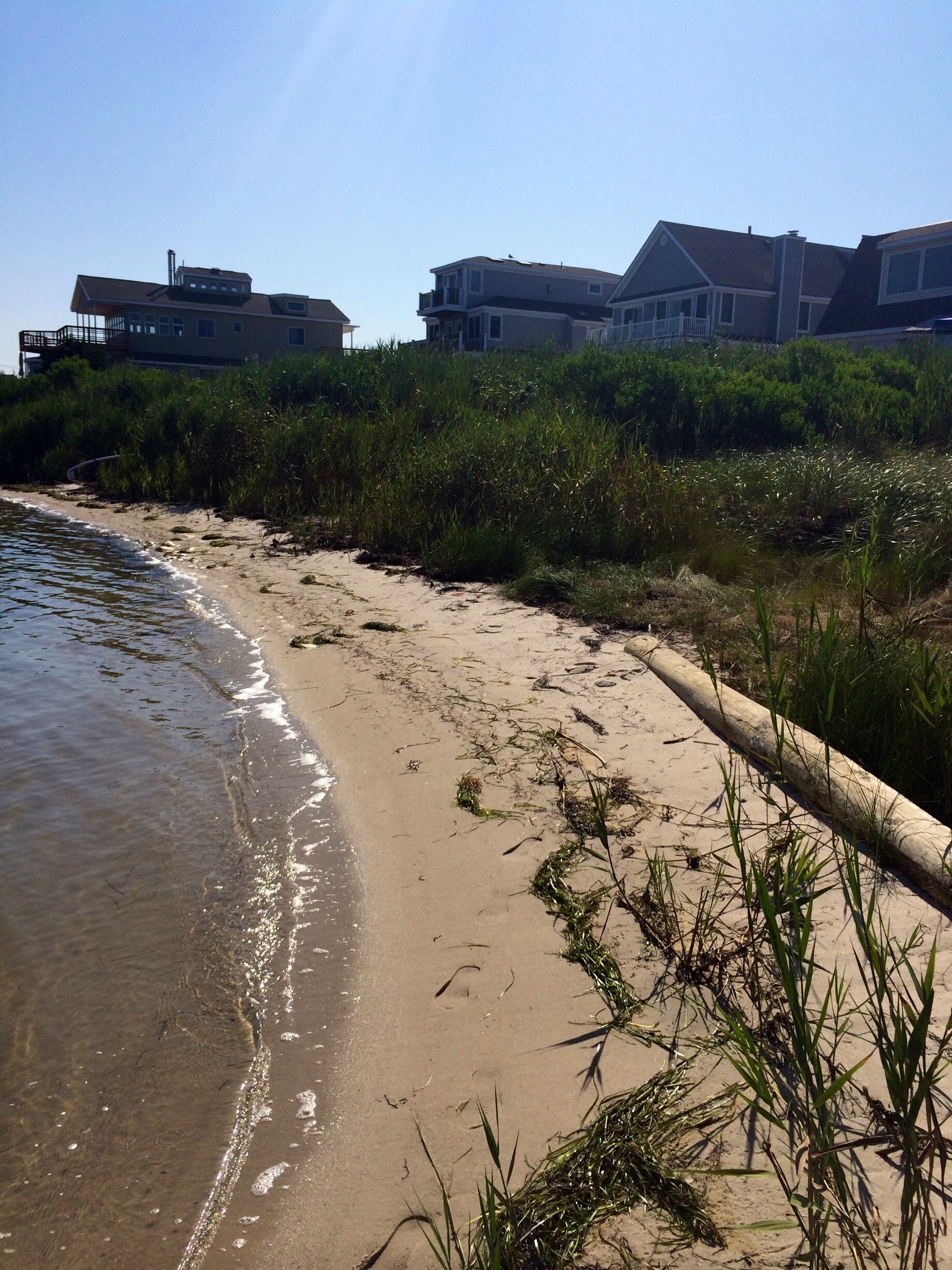 Massive mansions backing onto bay. Available to rent or house-share for the summer. Westhampton beach, slightly less costly than East or Southampton! But just as nice!! 