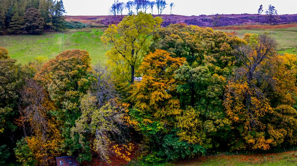 West Linton, Scotland, United Kingdom