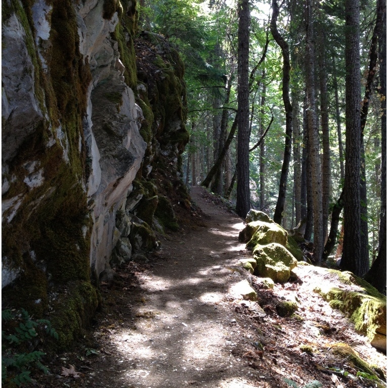 Great hiking trails #caves #oregon #pretty #forest
