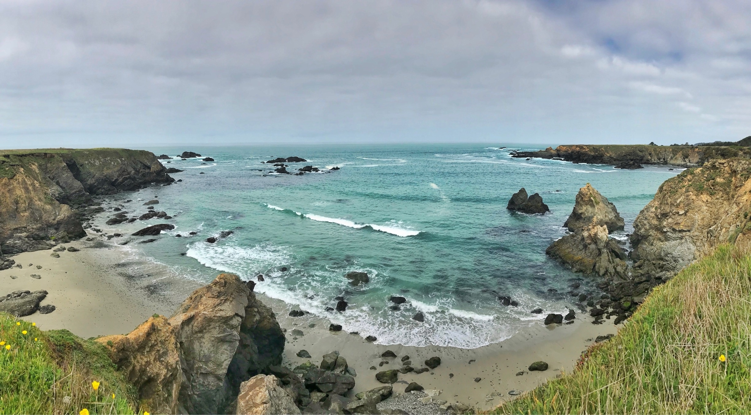One of the 2 beaches you can spot on this short walk in Jug Handle. Easily some of the best views I’ve seen on the north coast of California! #fortbragg