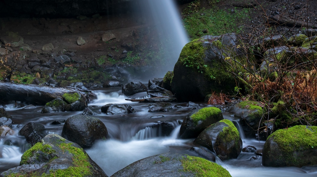 Horsetail Falls, Cascade Locks, Oregon, United States of America