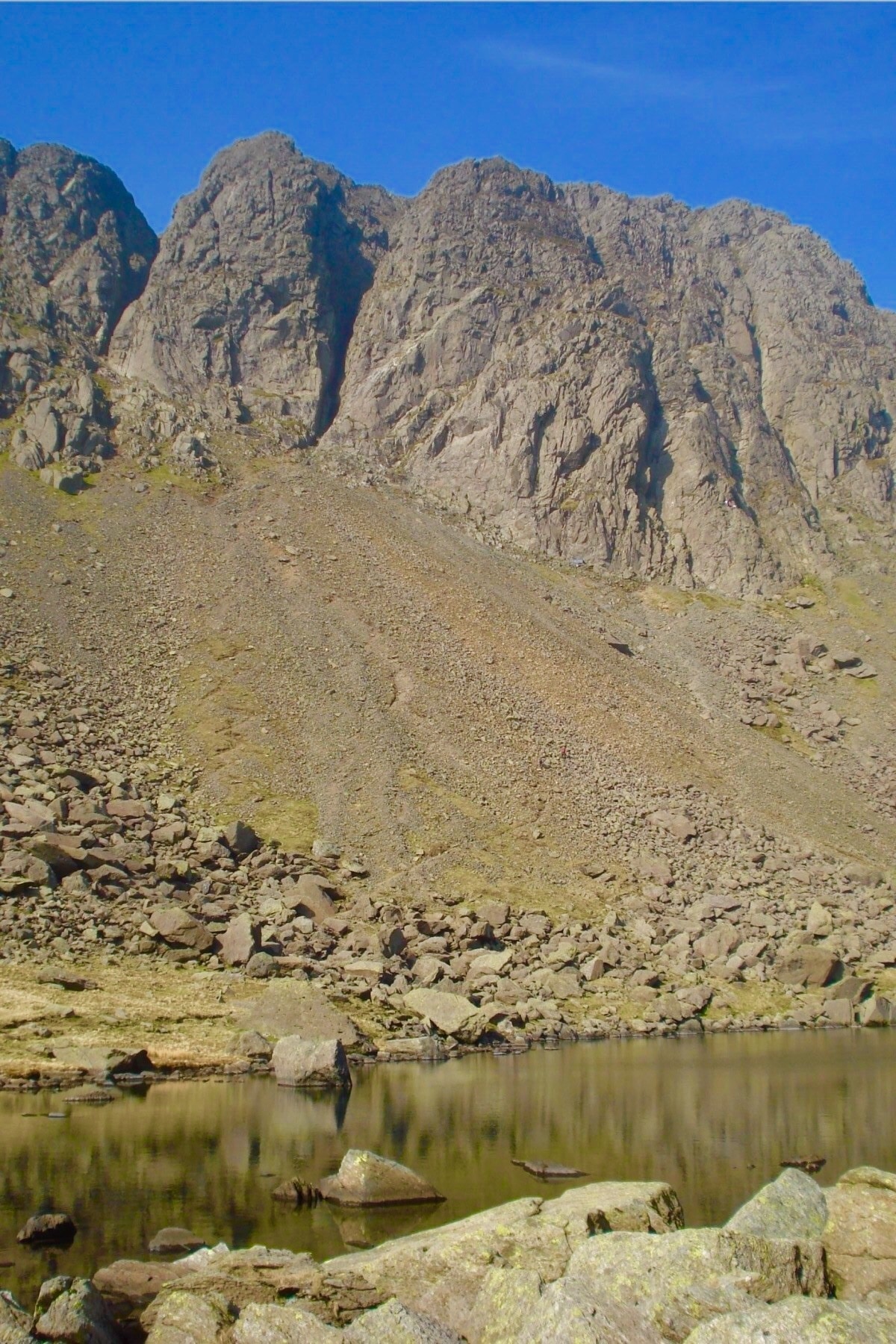 Photo by Kathy Appleby