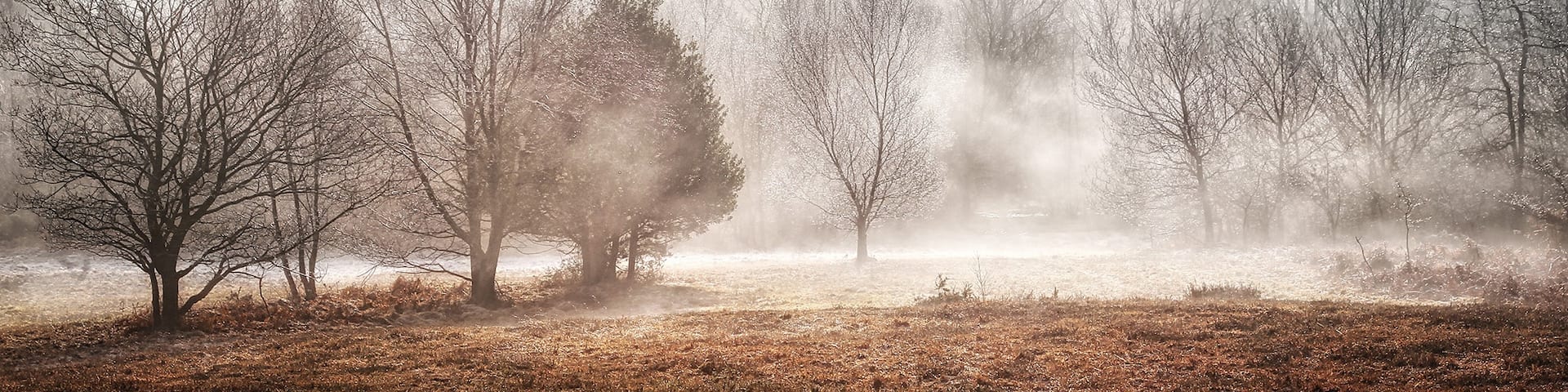 A misty winter's morning on Ashdown Forest.
Some great all year round walks can be found here, I have spent many an hour exploring with my dog, there's always something new to see on an ever changing landscape of heather, trees and wildlife.