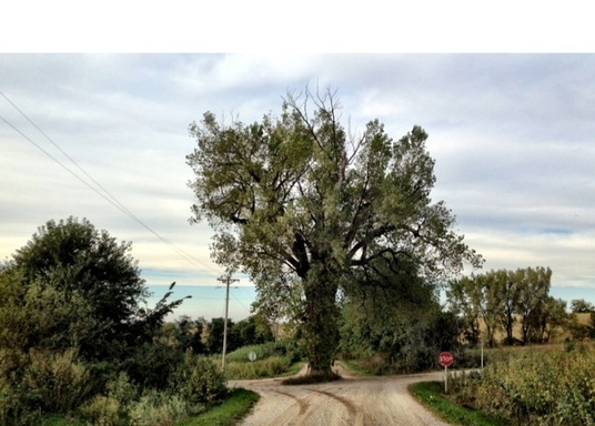 Audubon County, Iowa, Birleşik Devletler