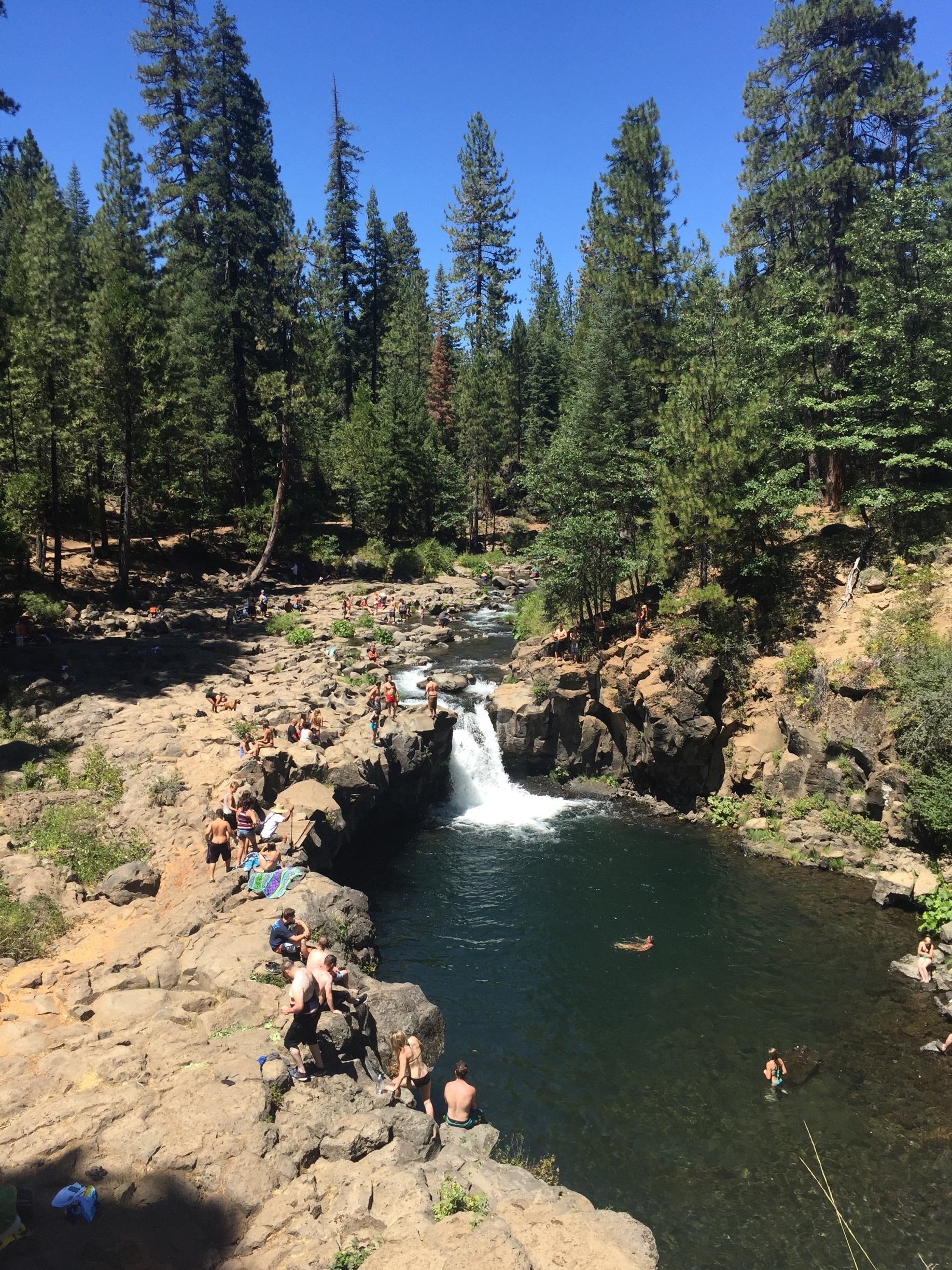 Where to Stay in McCloud Best neighborhoods Expedia