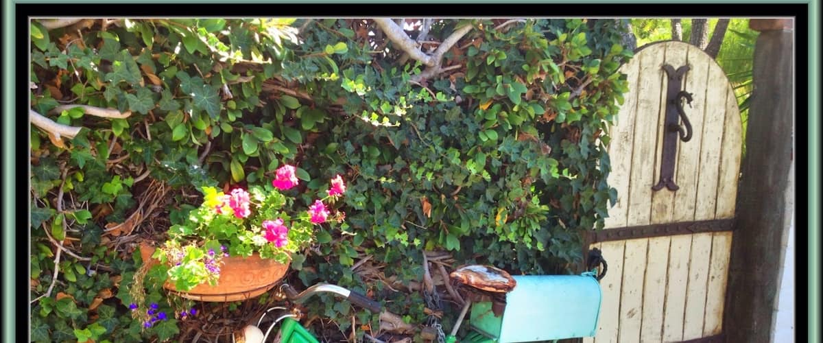 While traversing the hilly streets of this neighborhood I came across this vintage bike next to a worn garden gate and it caught my eye.