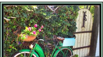 While traversing the hilly streets of this neighborhood I came across this vintage bike next to a worn garden gate and it caught my eye.