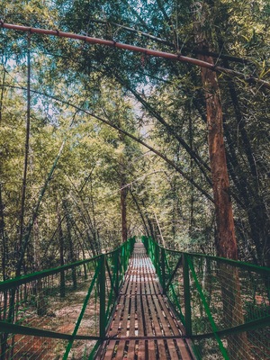 Mother Nature ❤️ mayuri nursery is located between the twin cities of Jadcherla and Mahabubnagar! It has a 1000meters treck, rope way , also a sneak peak in to the jungle through a bridge !!!