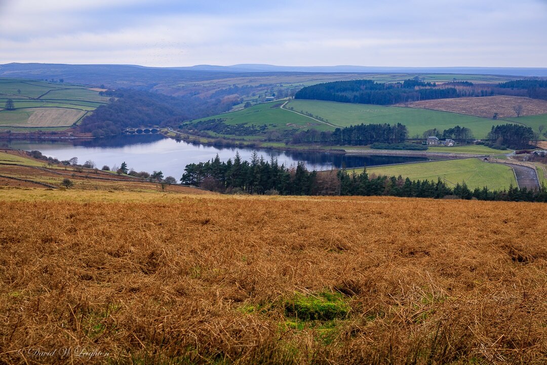 Foto av David Leighton