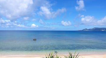 Okinawa ocean is always bright and clear. Locals say you can see 5 different shades of blue in the ocean on the best days!
#LifeAtExpedia #beach