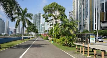Cinta Costera  a wonderful pedestrian walkway with a separate lane for bicyclists and skateboarders

 #OrbitzTravel