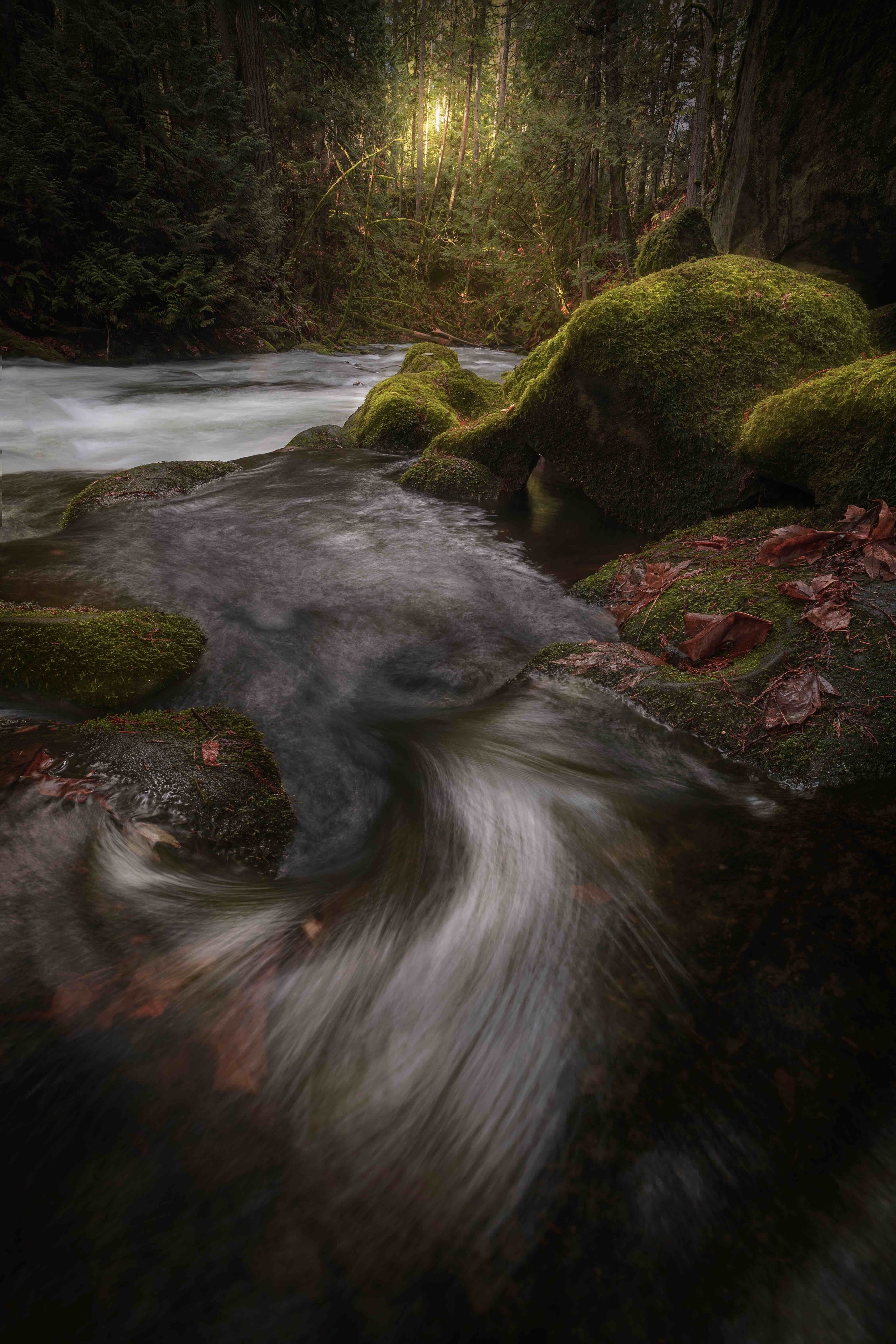 Falls, Bellingham Vacation Rentals house rentals & more Vrbo