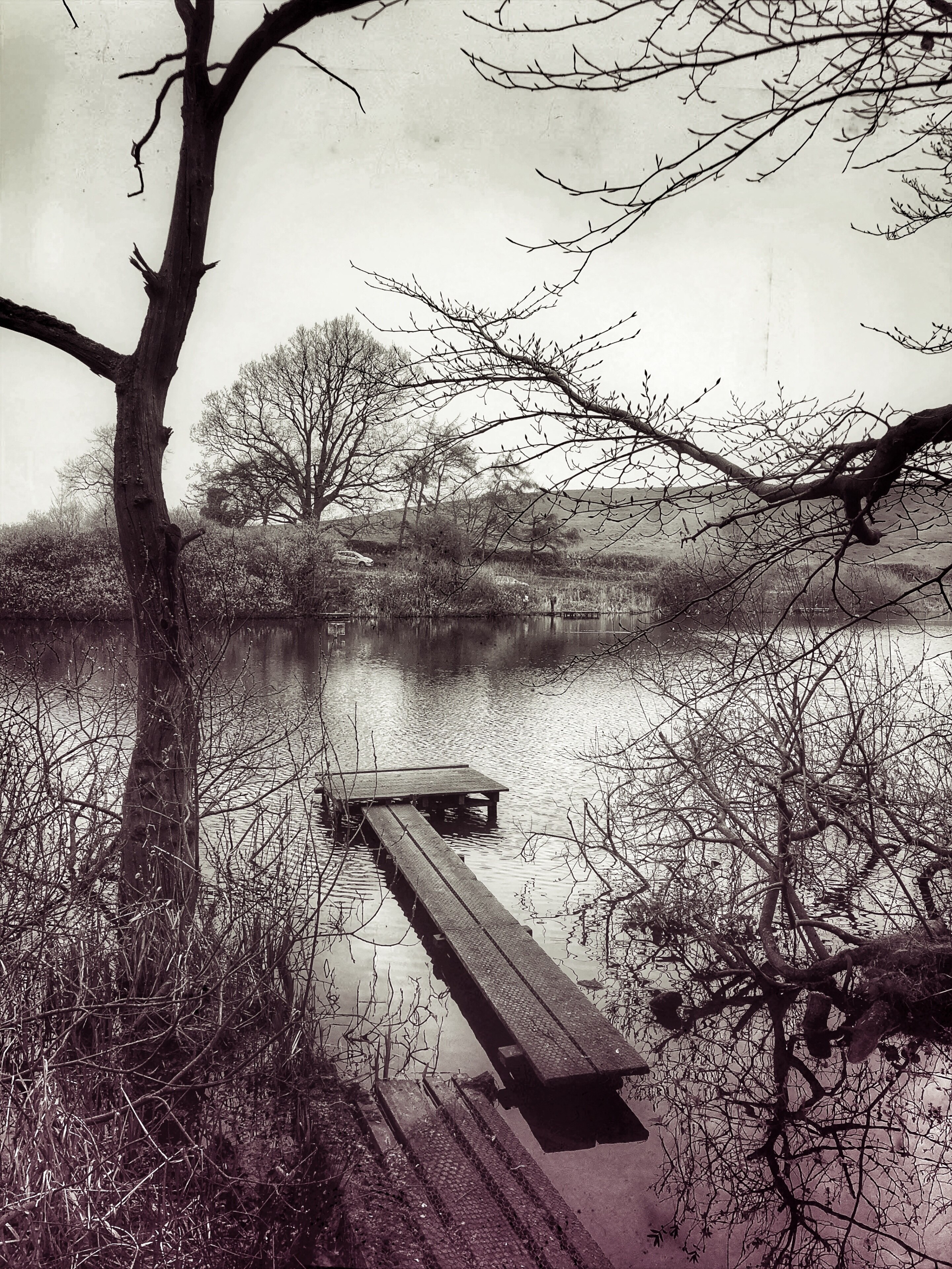 Foto von Neil Ellwood