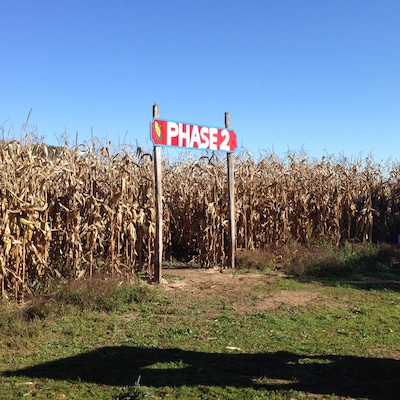 Cool farm we checked out today. $8 entry fee to get in. They have a massive corn maze which we got crazy lost in. Was only suppose to take a 30 minutes but took us an hour and... That was the small maze (phase 1). Phase 2 takes well over an hour. This years maze was themed the blue jays. So if you look at if from a helicopter you can see the Toronto blue jays logo and all the lines. They offer a small lunch of hot dogs, corn on the cob, French fries, and they also have pumpkin and squash soup or leek and potato. They have wagon rides and pumpkin picking available. Really cute place. Delicious ginger cookies too! Also if you view this area on sattlelight view you can see the last theme they had when Google took its photo. Zoom in and enjoy.