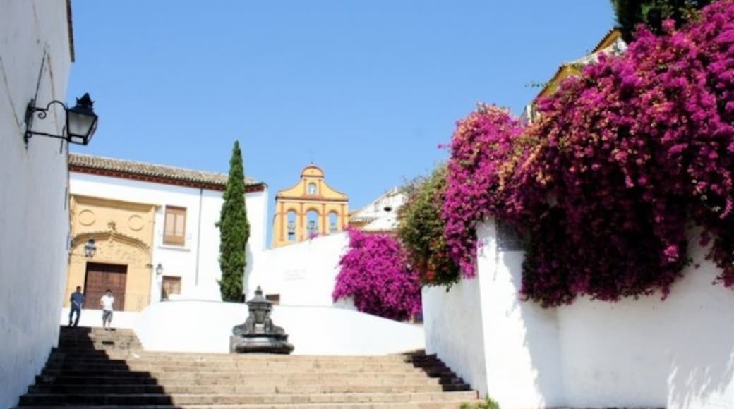 San Andrés-San Pablo, Córdoba, Andalusia, Spain