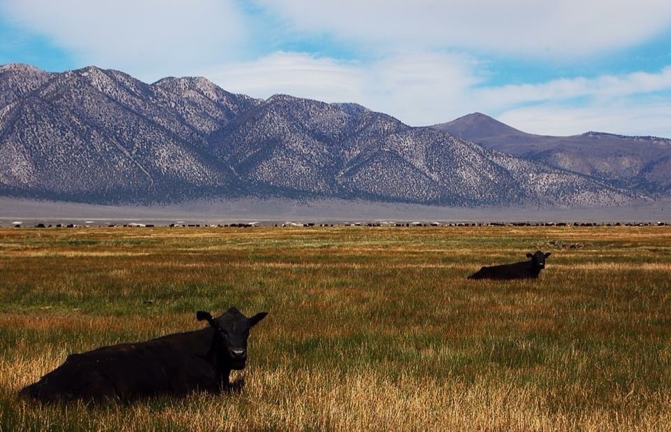 Top 20 Mammoth Mountain Ski Resort townhouse rentals Vrbo