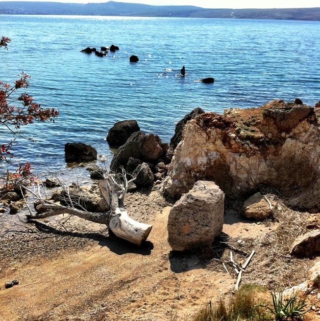 Wild beach