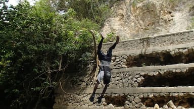 Rio Bueno River, Jamaica -- swing from a rope swing on this adventures excursion, either floating down the river in a tube, rafting, or holding onto a body board. P.S., the Jamaican pronunciation of the river is an odd English-bastardization of the Spanish: "Rye-O, Bueeno."
#Jamaica #travel #adventure #outdoor 