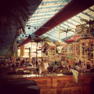 Releasing our inner kids. #indoorwaterpark #winter #wavepool