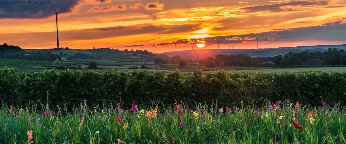 Great Sunset Spot