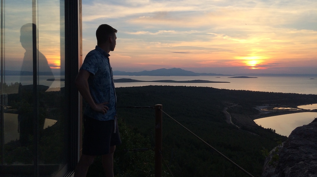Foto av Evaldas KasparaviÄius