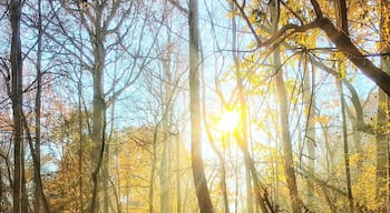 #GreatOutdoors!
My favorite trail right at my back yard!