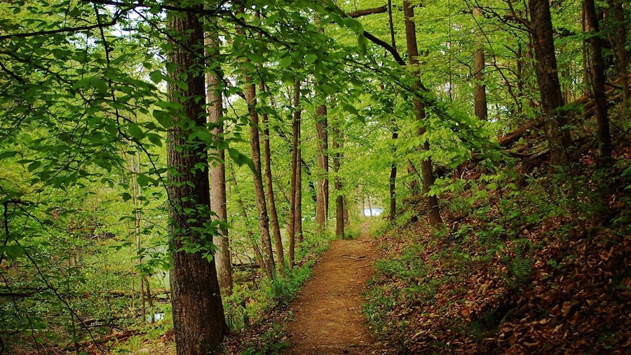 Bays Mountain Park and Planetarium