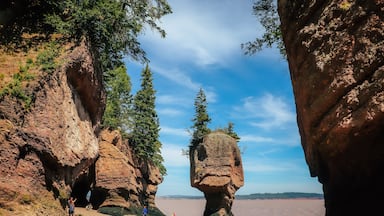 When in New Brunswick you must visit Hopewell Rocks before more pillars come tumbling down. These pillars (also known as flower pots) have been caused by tidal wave erosion and span up towards 70 feet tall. During low tide you can walk along the ocean floor to catch a close up view of their enormous size. As this is a very popular tourist spot, during the summer months you can expect it to be extremely busy. Parking is free but there is a fee to go into the park to see the rocks. If you want to walk on the ocean floor, I recommend that you check their website before you are expecting to leave to view when low tides will occur as this is the only time you can do this. The park is dog-leash pet friendly (meaning keep your dog on a leash and all will be well) - however dogs are not permitted in any of the main buildings such as the gift shop etc. There is a playground area for the kiddies, a small cafeteria style restaurant, gift shop, washrooms, and information station. If you view all the key highlights of the park you can expect to spend about 3 hours here with a total hiking / walking time of approx. 6 to 7 KM with some trails at steeper elevations (such as the beach trail).
