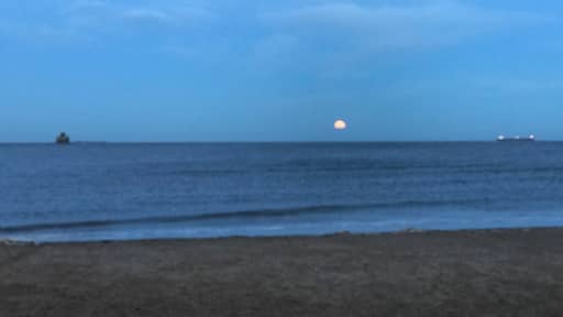 Photo by Julie Grimble