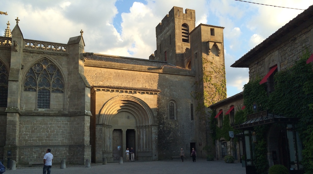 Basilica of St. Nazaire and St. Celse, Carcassonne, Aude, France