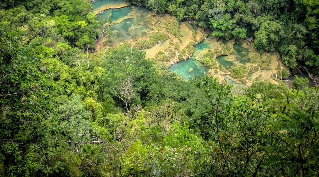 Di tích Thiên nhiên Semuc Champey, San Agustin Lanquin, Alta Verapaz, Guatemala