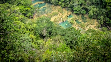 I think Semuc Champey in Guatemala is Heaven on Earth. Is one of the most beautiful places I've ever been. A totally worth hike will take you to the top of the mountain to get this view of the natural pools formed by years of erosion. The very best definition of #GreatOutdoors