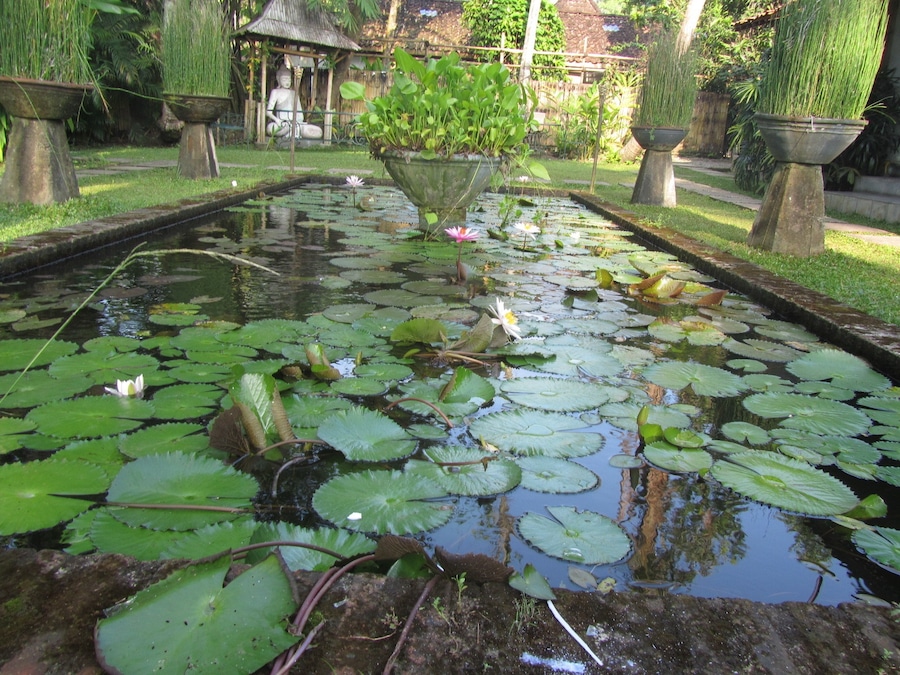 If you want serenity and you are planning a trip around Java, stay at this hotel on the outskirts of Jogjakarta. You can catch the train from Jakarta. #Java #serenity #green
