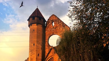 Jolie visite de la petite église de Cârța et des ruines du monastère. Après une montée en haut de la tour dans un étroit escalier en colimaçon, nous pouvons apercevoir de très près des cigognes perchées sur le haut des ruines. 

#sunset #stork 