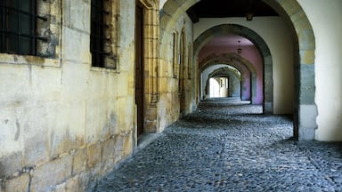 Go to the old town and you will see this arched hallway in its full glory!